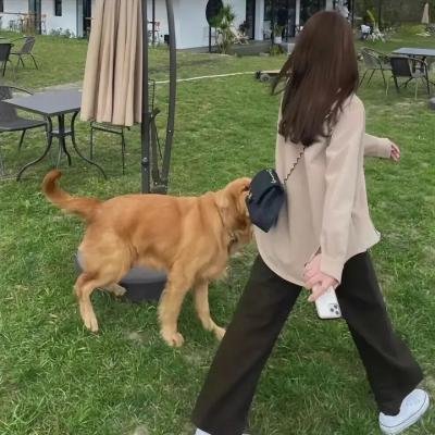 生命印痕
